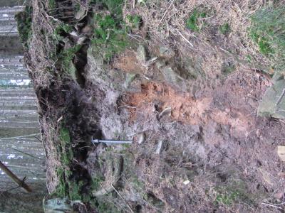 Podsol in Holozänlage und unten drunter waren noch Braunerde-Reste, wenn ich mich recht entsinne (Foto: ich im Odenwald, Oktober 2014)